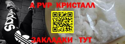 гашик Донецк